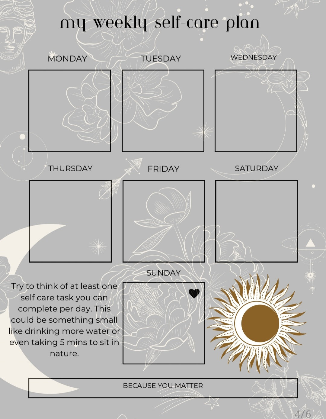 Self-Care Journal ( Astrology edition)